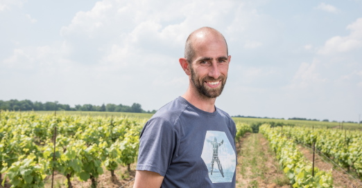 Domaine de la Pepiere - Les Vignerons - Cru Clisson