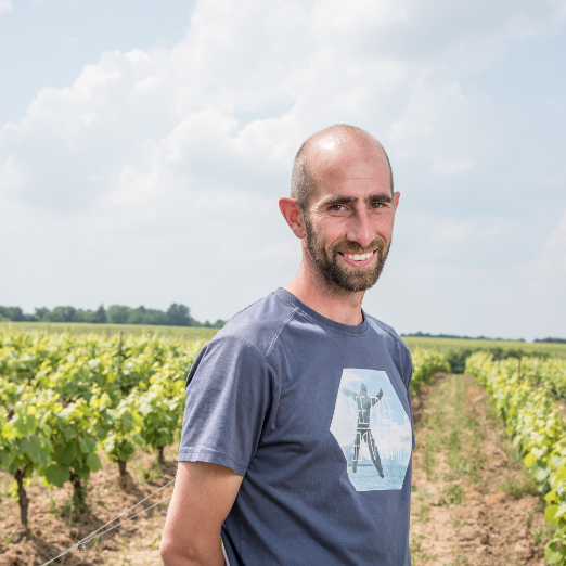 Domaine de la Pepiere – Vigneron – Cru Clisson Domaine de la Pepiere - Vigneron - Cru Clisson