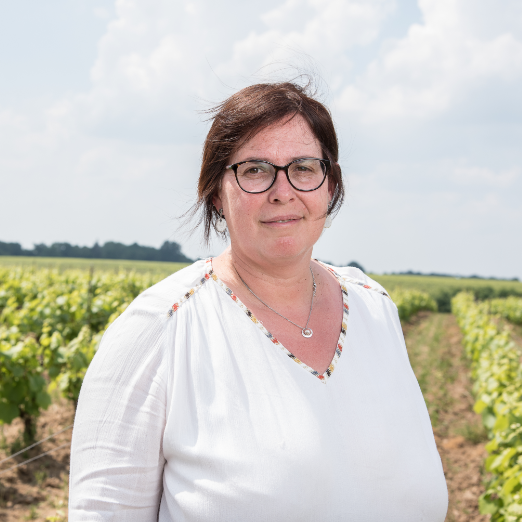 Chateau d’Amour – Vigneron – Cru Clisson Chateau d'Amour - Vigneron - Cru Clisson