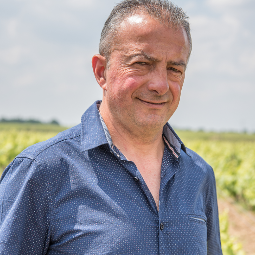 Domaine Martin-Luneau – Vigneron – Cru Clisson Domaine Martin-Luneau - Vigneron - Cru Clisson