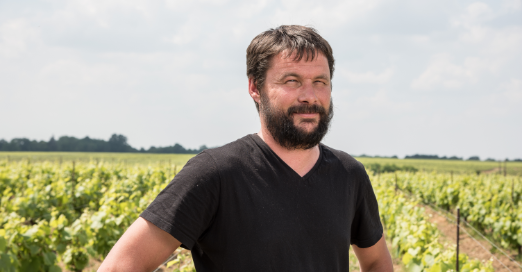 Domaine Michel Bregeon - Les Vignerons - Cru Clisson