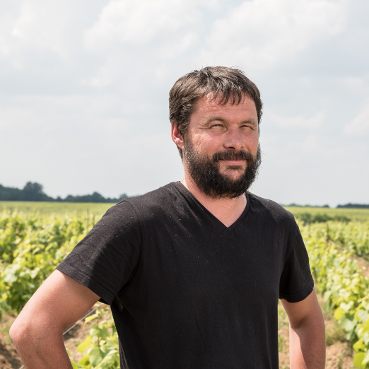 Domaine Michel Bregeon – Vigneron – Cru Clisson Domaine Michel Bregeon - Vigneron - Cru Clisson