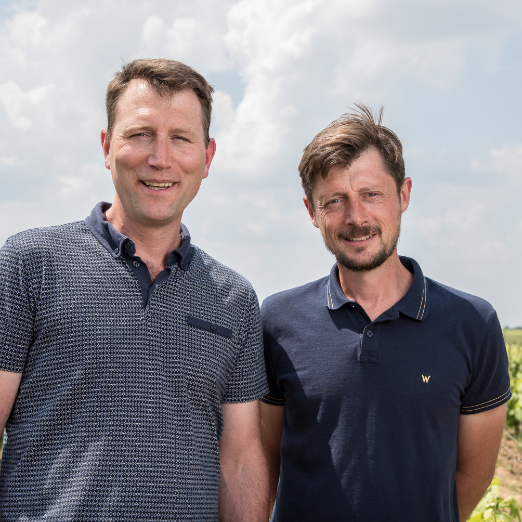 Domaine de l’Epinay – Vigneron – Cru Clisson Domaine de l'Epinay - Vigneron - Cru Clisson