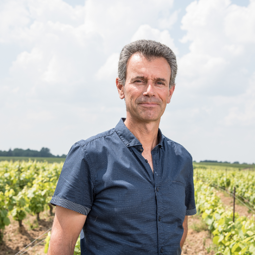 Domaine de la Vinconniere – Vigneron – Cru Clisson Domaine de la Vinconniere - Vigneron - Cru Clisson