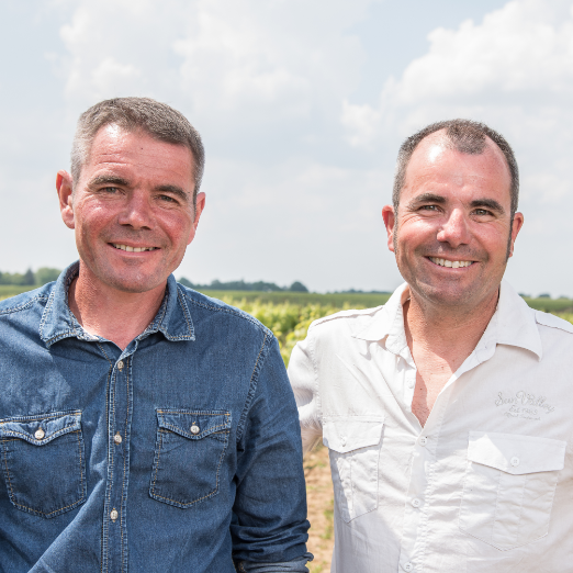 Domaine des Cognettes – Vigneron – Cru Clisson Domaine des Cognettes - Vigneron - Cru Clisson