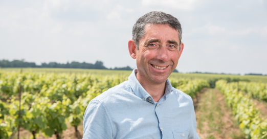 Vignoble Maillard - Les Vignerons - Cru Clisson