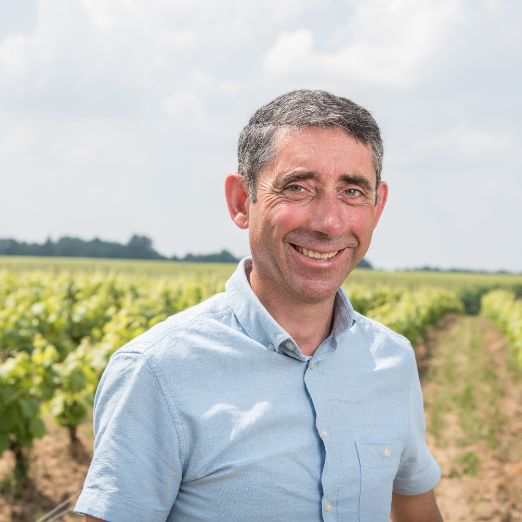 Vignoble Maillard – Vigneron – Cru Clisson Vignoble Maillard - Vigneron - Cru Clisson